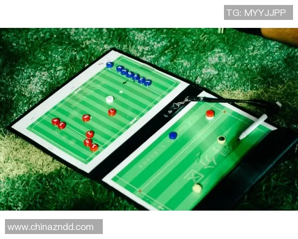 北京飞盘队速度表现分析与提升策略探讨