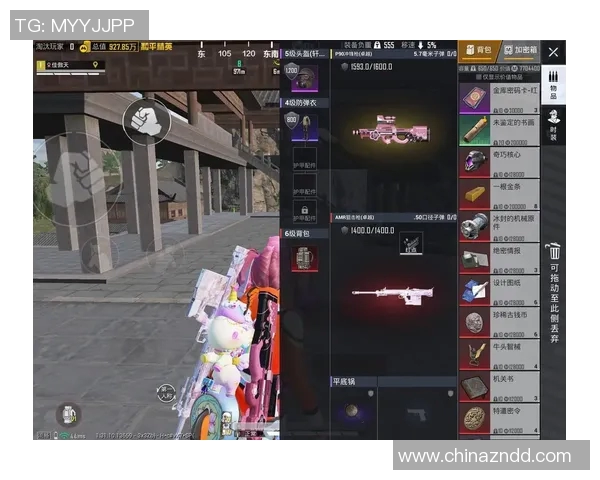 和平精英纪实：探索FPX在电竞领域的转型与成长之路