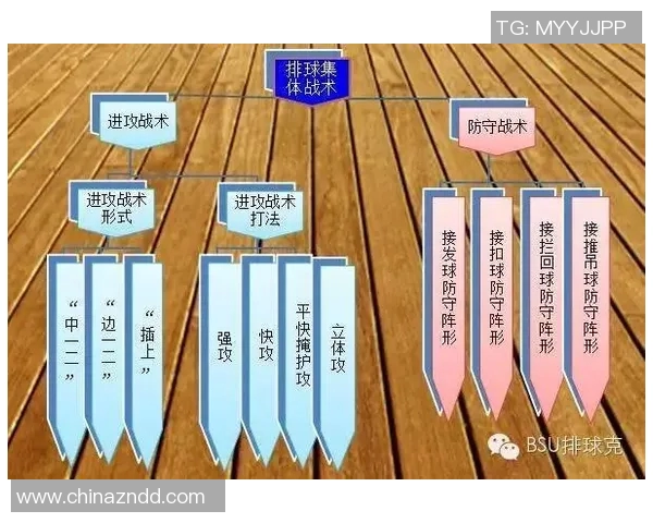 广州排球队战术解析与发展策略探讨之路 广州排球队战术解析与发展策略探讨之路