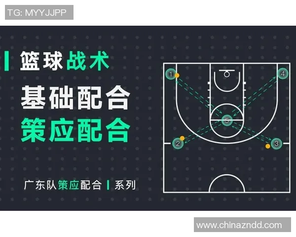 成都篮球队反击战术解析与未来发展展望