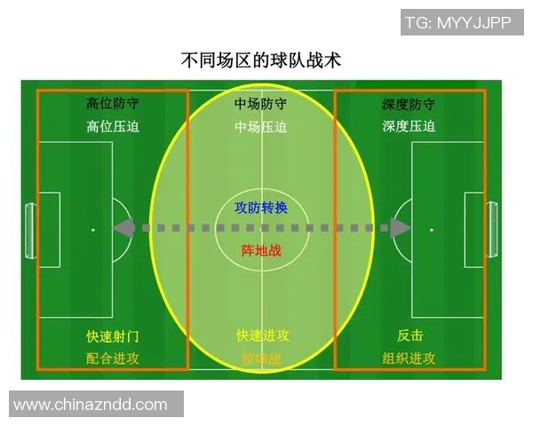 武汉乒乓球队区域防守体系解析与战术运用探讨