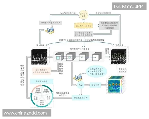 深圳飞盘队防反战术革新探索与实践的深度分析与展望