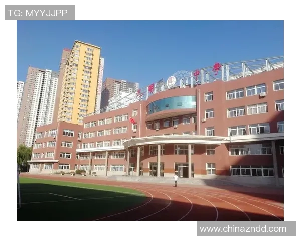 史鸿飞的奋斗历程与人生哲学探索：从平凡到卓越的成长之路