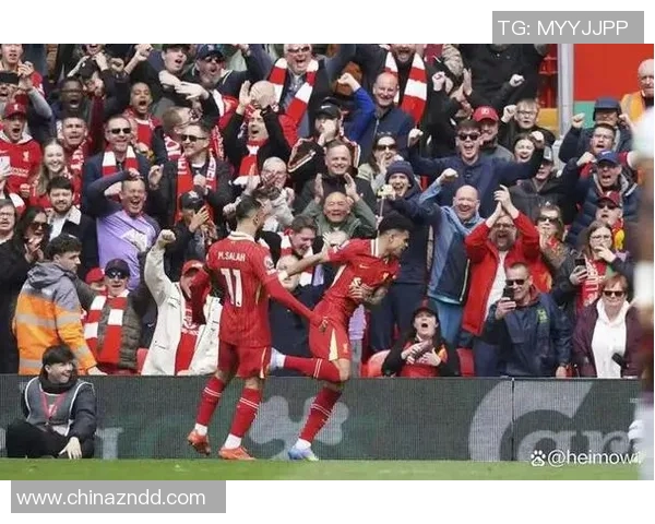 巡游者与加的夫城的激烈对决展现英冠联赛的精彩瞬间与球队风采