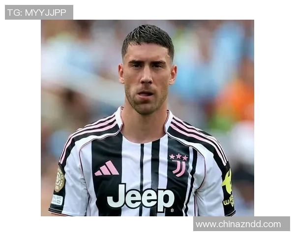 弗拉霍维奇的崛起之路：从青年才俊到顶级前锋的蜕变与挑战