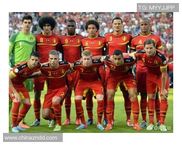 比利时与冰岛精彩对决集锦回顾球迷必看精彩瞬间