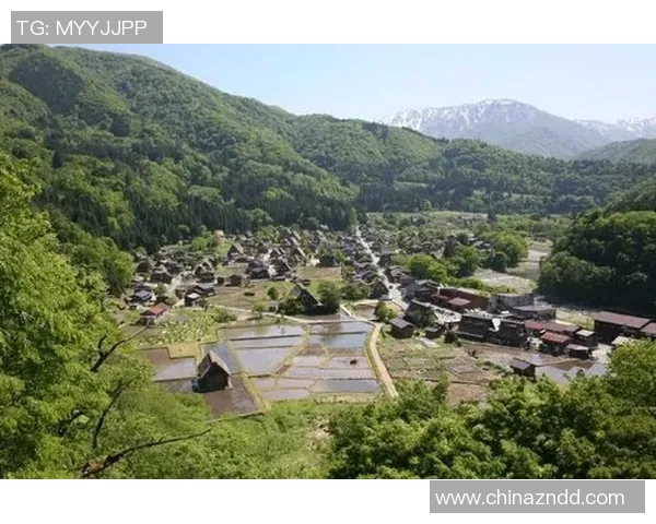 足球福岛对岐阜的精彩对决揭示了两队的实力与未来发展潜力 足球福岛对岐阜的精彩对决揭示了两队的实力与未来发展潜力